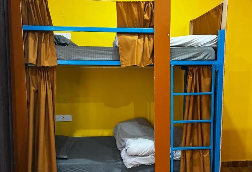 共用房间的床, Flyscape