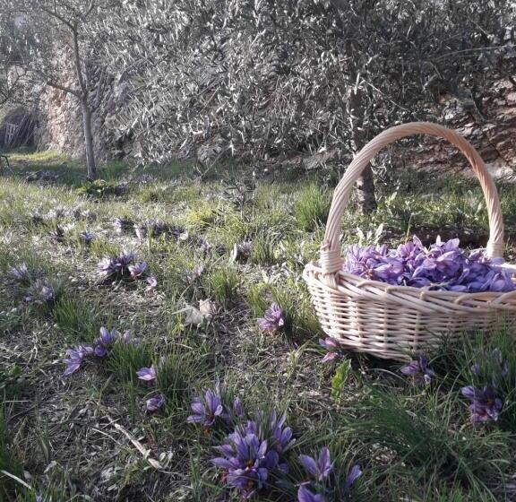 חדר סטנדרט לשלושה, Agriturismo L Arco