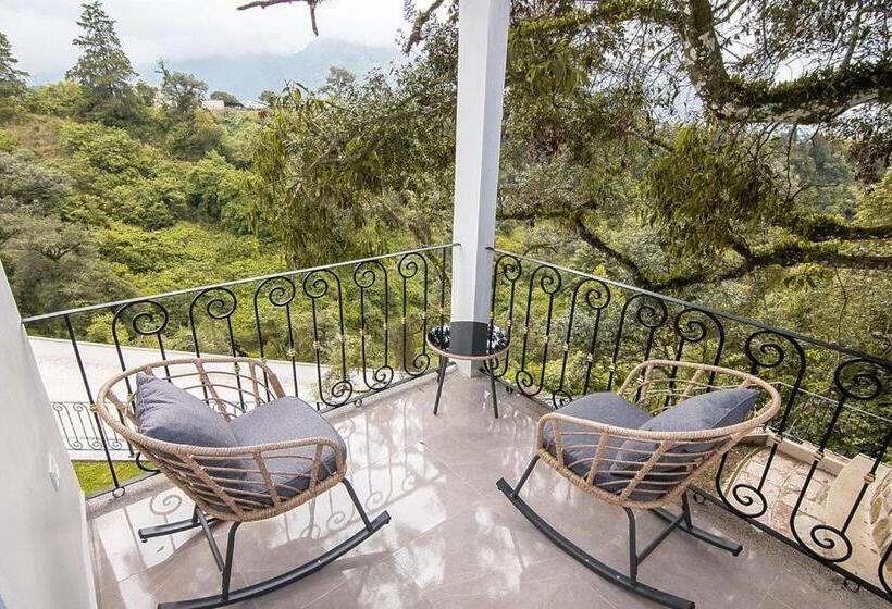 スイート, Danini