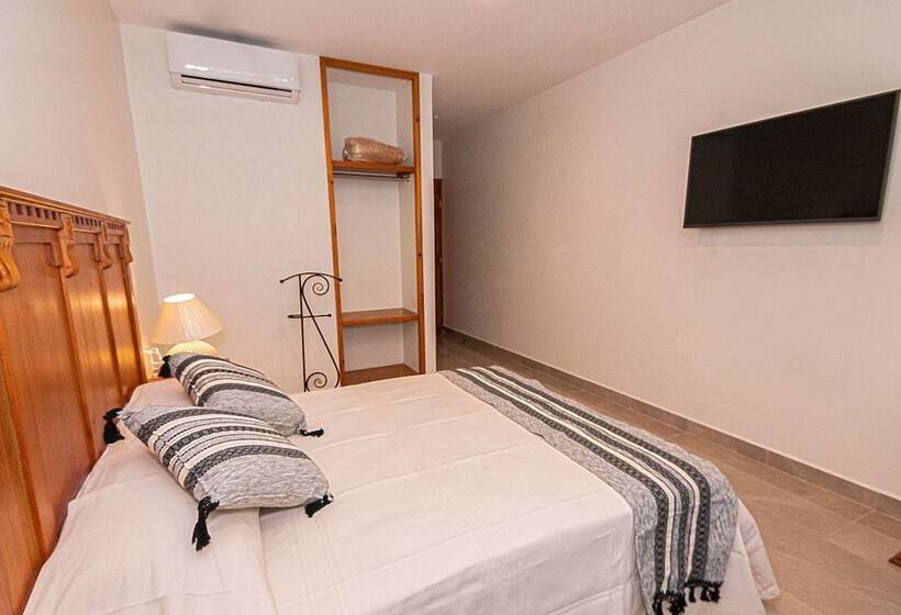 スタンダードルーム, Danini