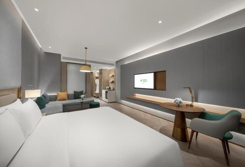 غرفة قياسية, Holiday Inn Fu An