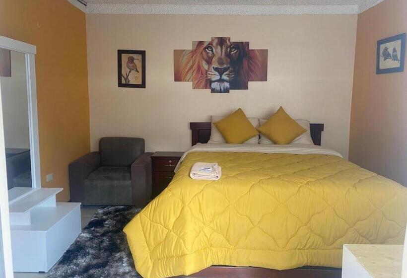 غرفة قياسية, Las Americas