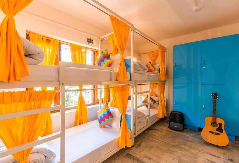 تختخواب در اتاق مشترک, Gostops Nainital