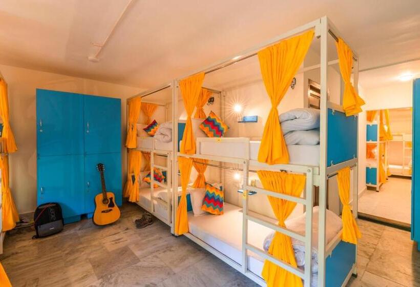 سرير فى غرفة مشتركه, Gostops Nainital