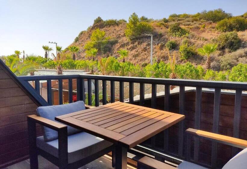 اتاق لوکس, Porto Amore Club