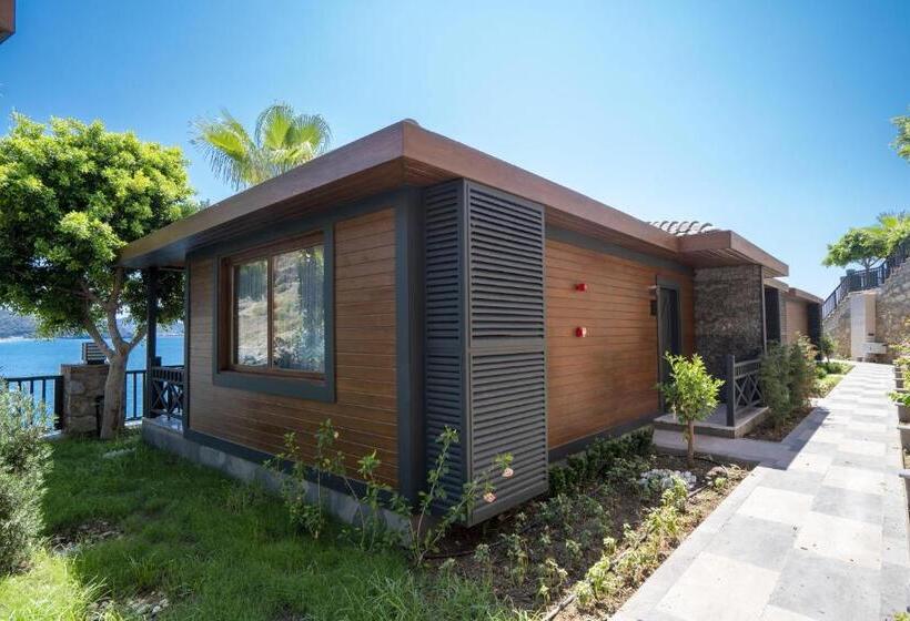 سوئیت با تخت بزرگ, Porto Amore Club