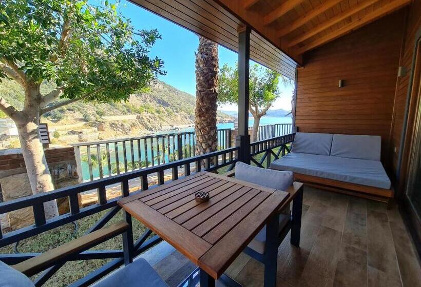 اتاق لوکس, Porto Amore Club