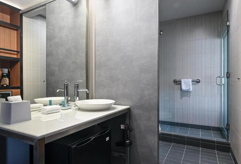 غرفة قياسية لذوى الاحتياجات الخاصة, Aloft Charleston Airport And Convention Center