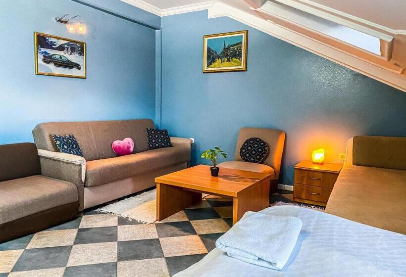 آپارتمان 2 خوابه, Garni Rimski