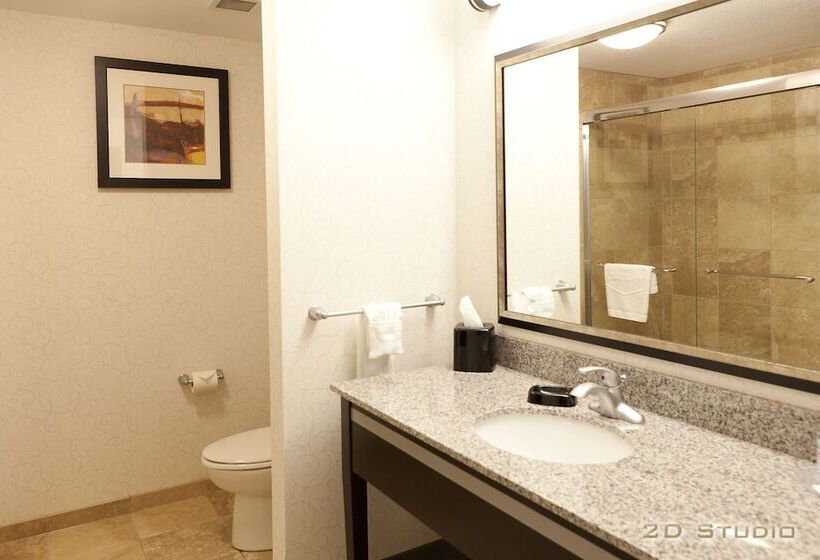 キングサイズベッドのスタンダードルーム, Hampton Inn & Suites By Hilton Lethbridge