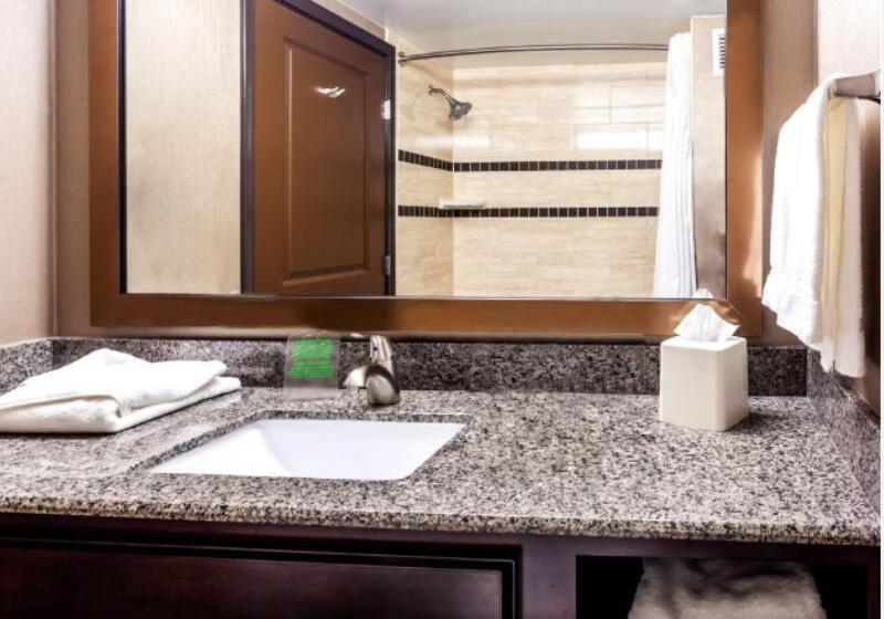 带大床的标准间, Holiday Inn Express Hotel & Suites Cheyenne, An Ihg