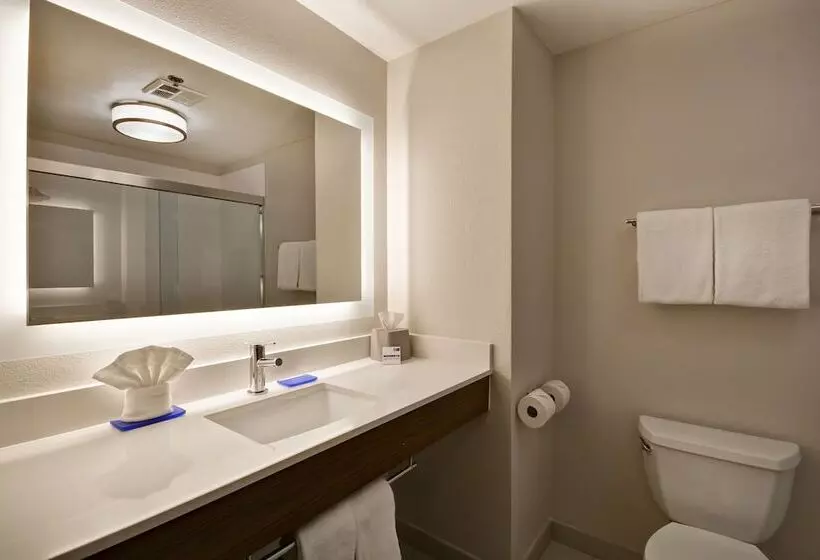 سوییت, Holiday Inn Express Fresno River Park Highway 41, An Ihg