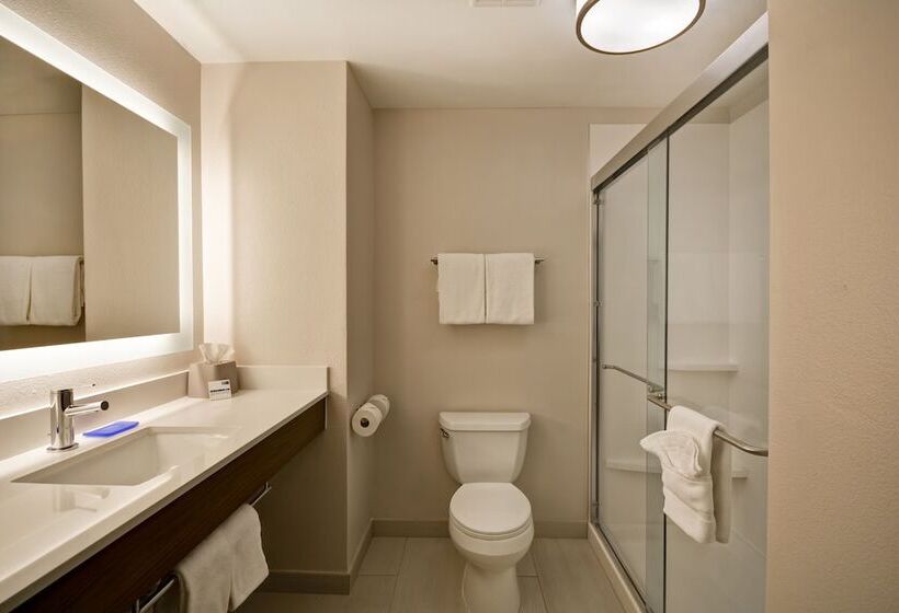 スイート, Holiday Inn Express Fresno River Park Highway 41, An Ihg