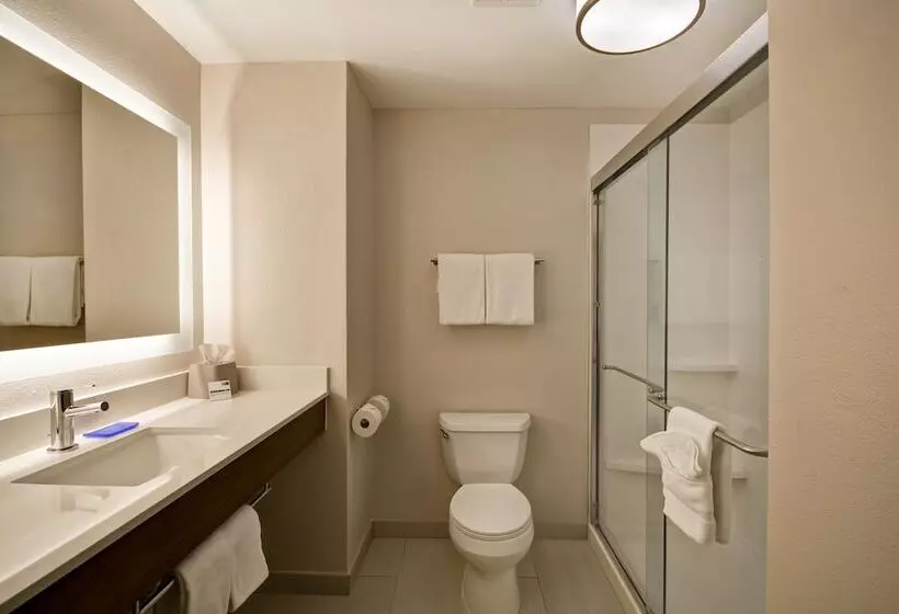 سوییت, Holiday Inn Express Fresno River Park Highway 41, An Ihg