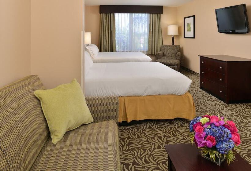 スイート, Holiday Inn Express Fresno River Park Highway 41, An Ihg