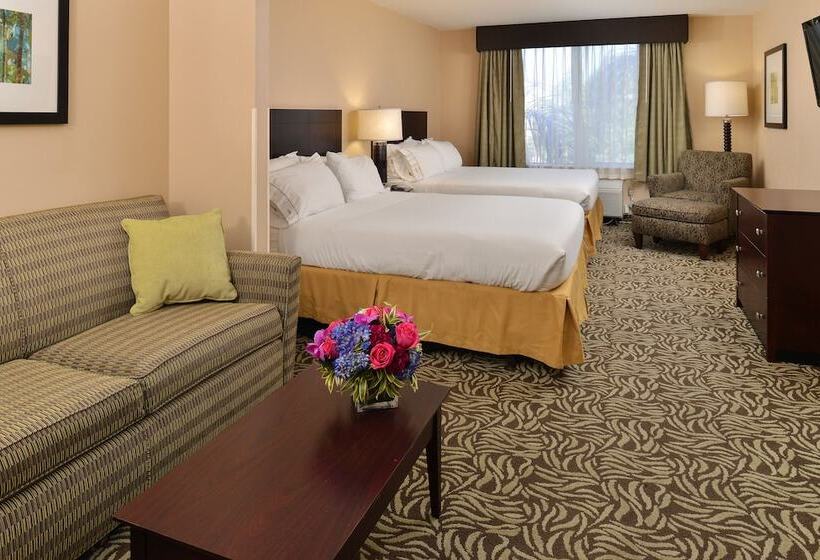 スイート, Holiday Inn Express Fresno River Park Highway 41, An Ihg