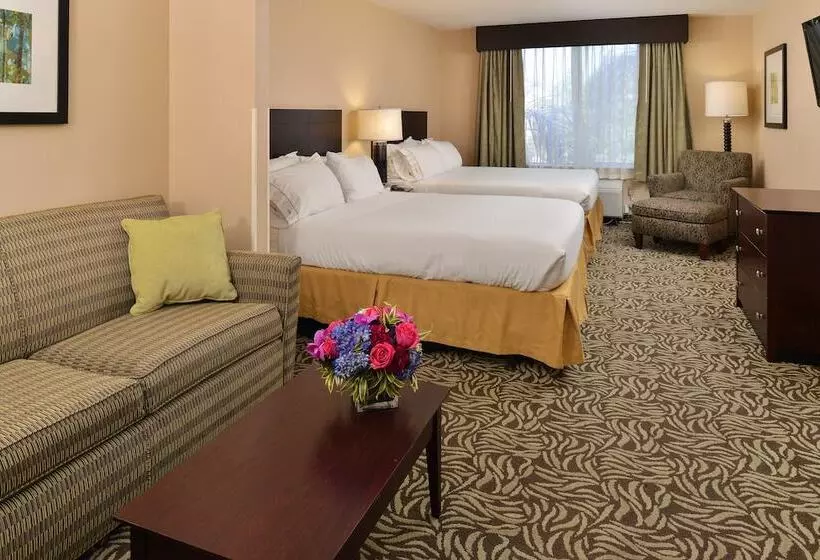سوییت, Holiday Inn Express Fresno River Park Highway 41, An Ihg