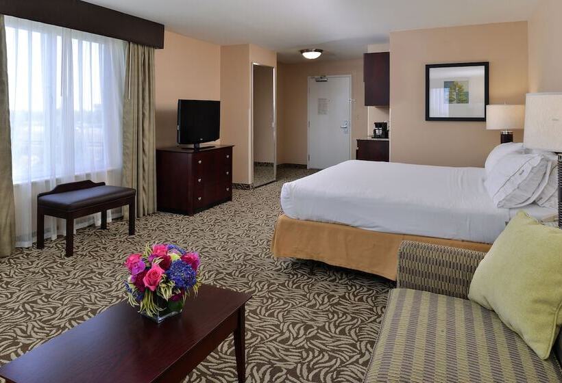 スイート, Holiday Inn Express Fresno River Park Highway 41, An Ihg