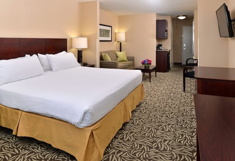 スイート, Holiday Inn Express Fresno River Park Highway 41, An Ihg