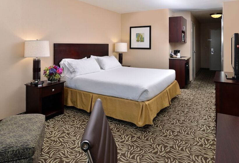 スタンダードルーム, Holiday Inn Express Fresno River Park Highway 41, An Ihg