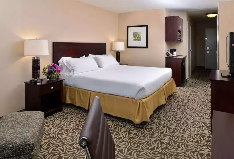 اتاق استاندارد, Holiday Inn Express Fresno River Park Highway 41, An Ihg