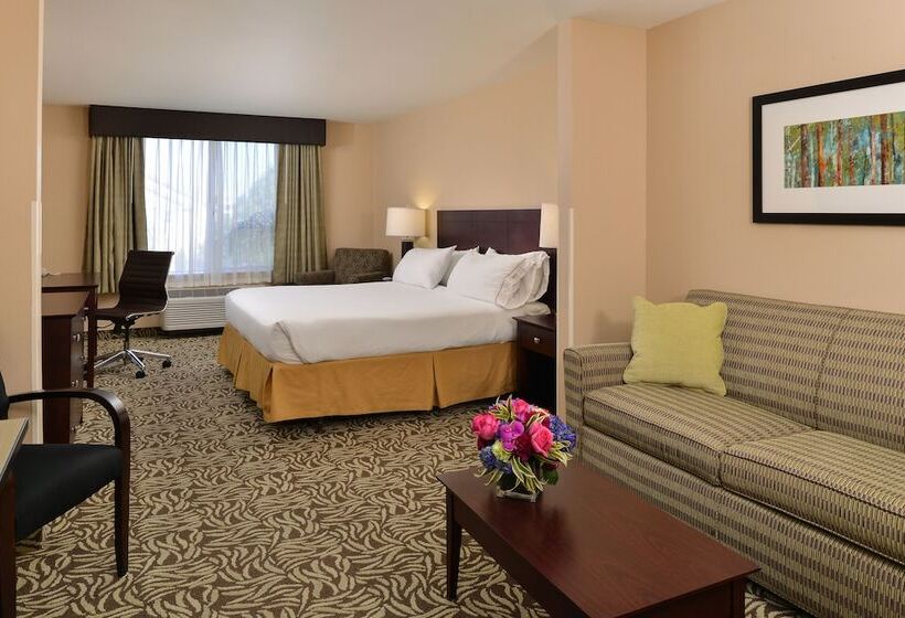 스위트, Holiday Inn Express Fresno River Park Highway 41, An Ihg