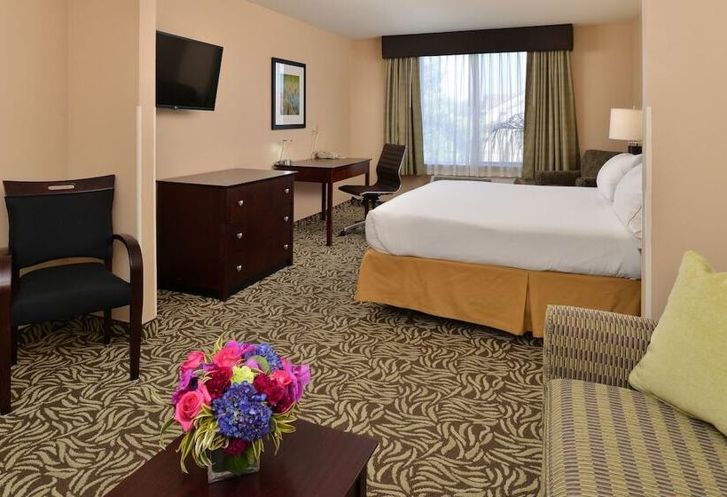スイート, Holiday Inn Express Fresno River Park Highway 41, An Ihg
