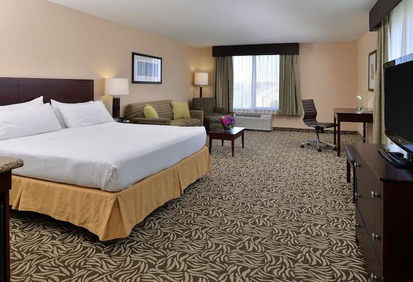 스위트, Holiday Inn Express Fresno River Park Highway 41, An Ihg