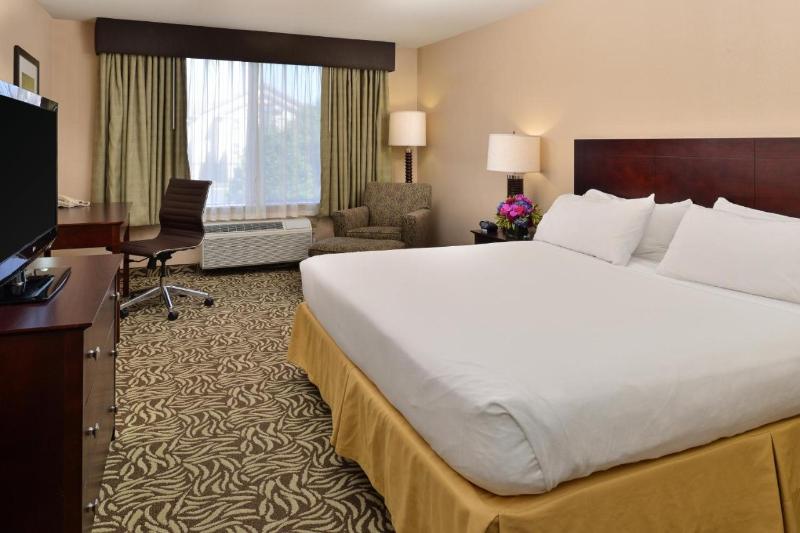 스위트 킹사이즈 침대, Holiday Inn Express Fresno River Park Highway 41, An Ihg