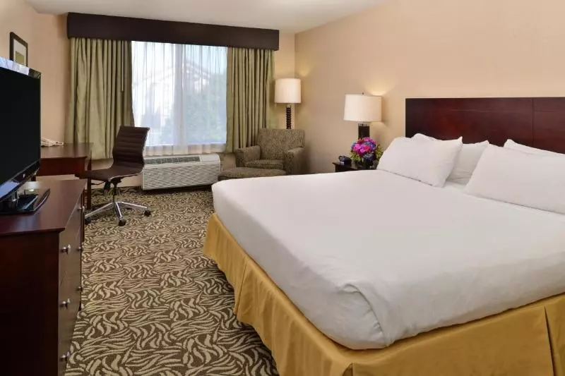 سوئیت با تخت بزرگ, Holiday Inn Express Fresno River Park Highway 41, An Ihg