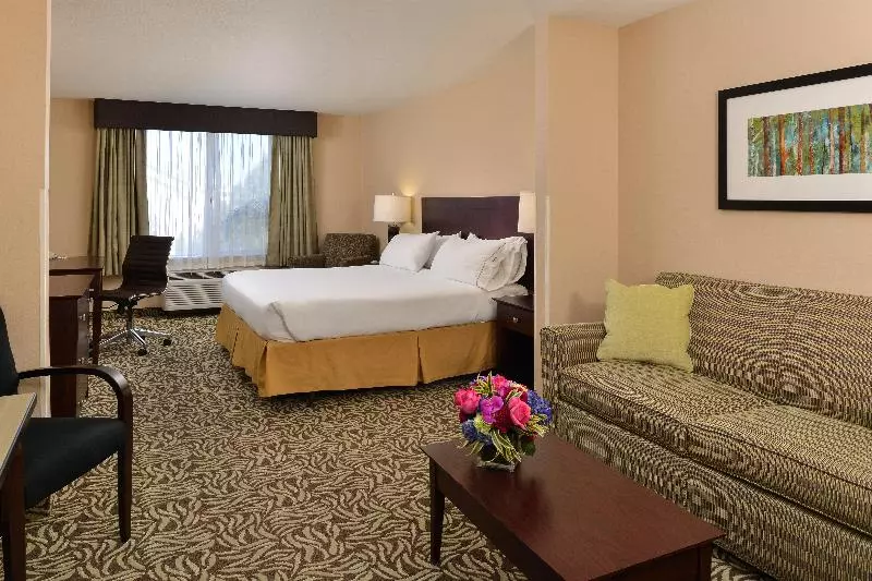 سوئیت اجرایی با تخت کینگ, Holiday Inn Express Fresno River Park Highway 41, An Ihg