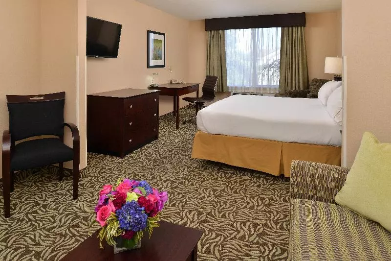 سوئیت اجرایی با تخت کینگ, Holiday Inn Express Fresno River Park Highway 41, An Ihg