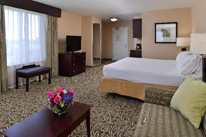 이그제큐티브 스위트 킹침대, Holiday Inn Express Fresno River Park Highway 41, An Ihg