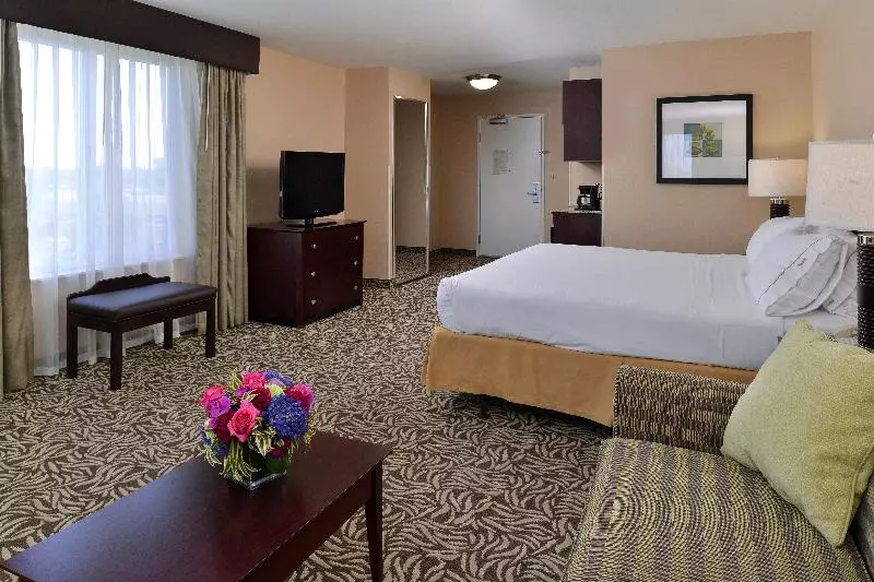 سوئیت اجرایی با تخت کینگ, Holiday Inn Express Fresno River Park Highway 41, An Ihg