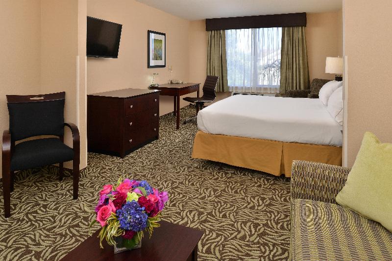 キングサイズベッドのエクゼクティブルーム, Holiday Inn Express Fresno River Park Highway 41, An Ihg
