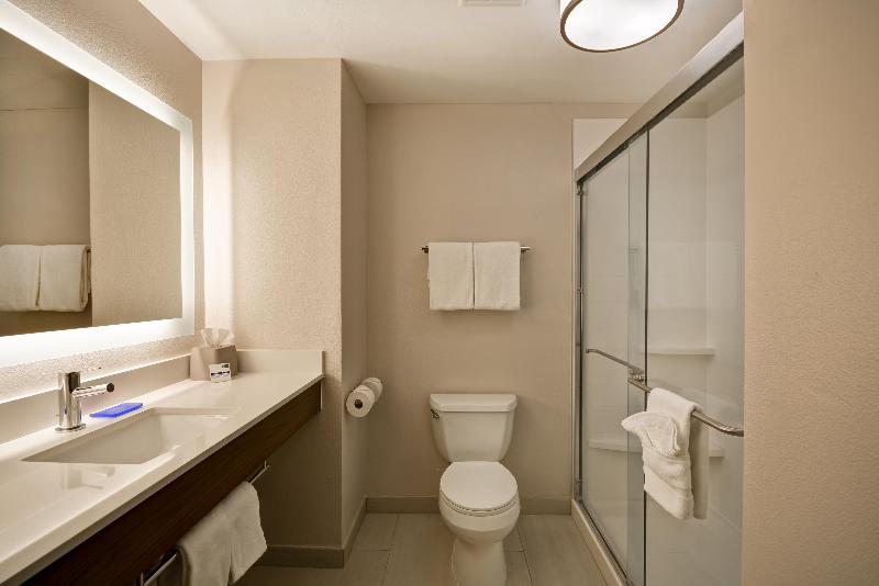 キングサイズベッドのエクゼクティブルーム, Holiday Inn Express Fresno River Park Highway 41, An Ihg