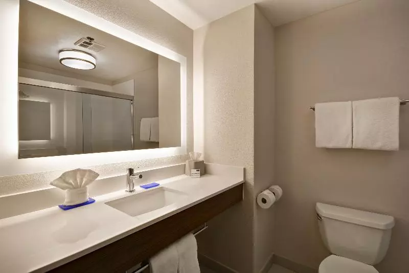 اتاق اجرایی با تخت بزرگ, Holiday Inn Express Fresno River Park Highway 41, An Ihg