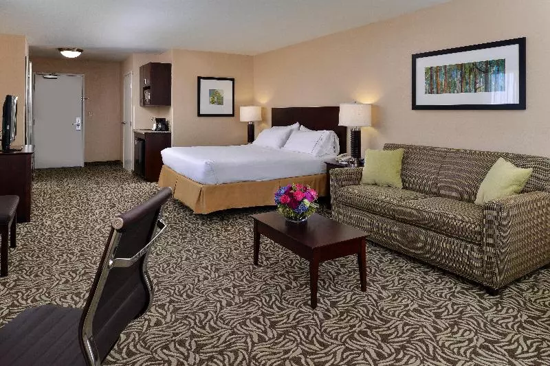 اتاق اجرایی با تخت بزرگ, Holiday Inn Express Fresno River Park Highway 41, An Ihg