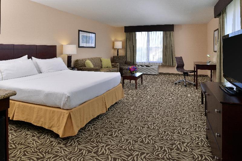 キングサイズベッドのエクゼクティブルーム, Holiday Inn Express Fresno River Park Highway 41, An Ihg