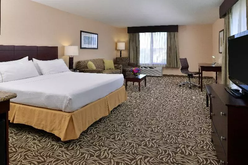 اتاق اجرایی با تخت بزرگ, Holiday Inn Express Fresno River Park Highway 41, An Ihg