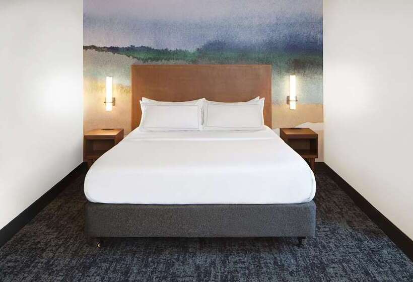 Studio Standard Lit King Size, Indigo Guadalajara Expo, An Ihg