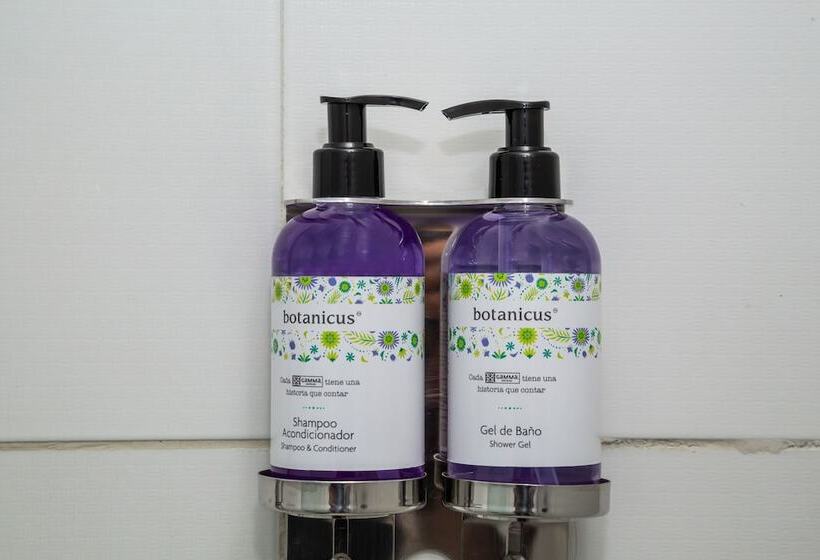 اتاق لوکس, Gamma Puebla Señorial Centro