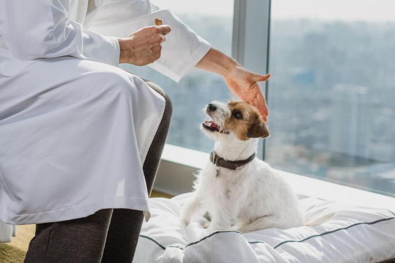 חדר דחוקס עם מיטת קינג, The Westin Lima Hotel & Convention Center