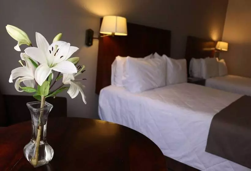 Classic-huone, Villa Tequila