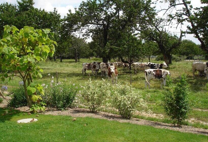 غرفة قياسية, Chambres D Hôtes Au Temps Des Cerises