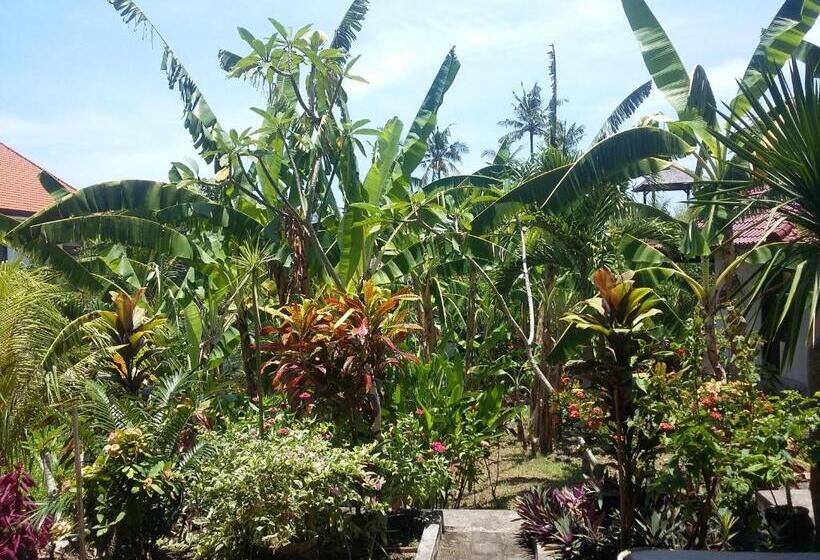 חדר סטנדרט, Surya Homestay