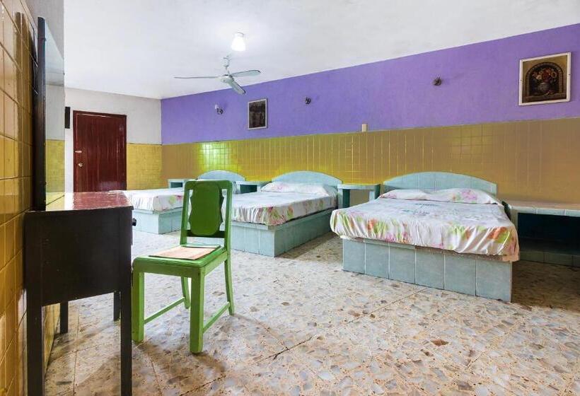 패밀리 룸, San Martin