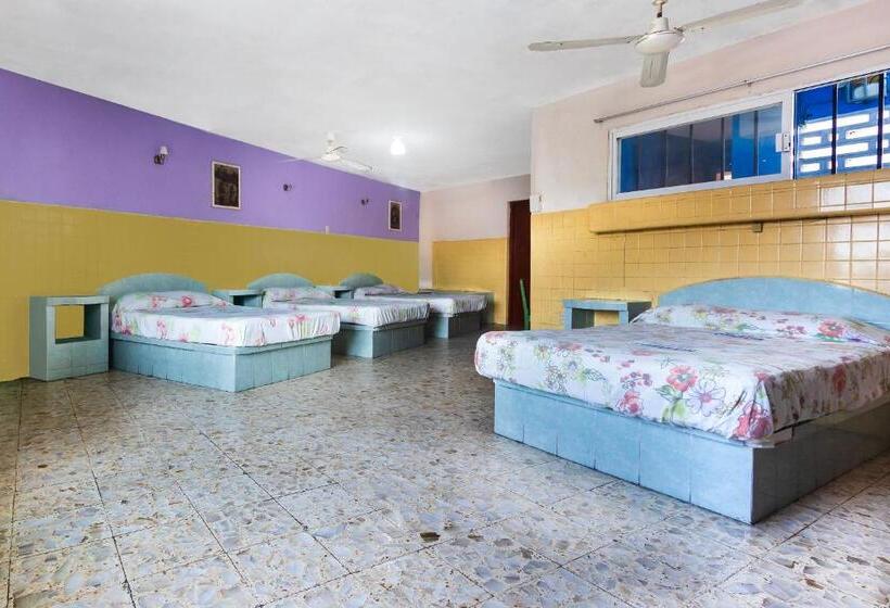 패밀리 룸, San Martin