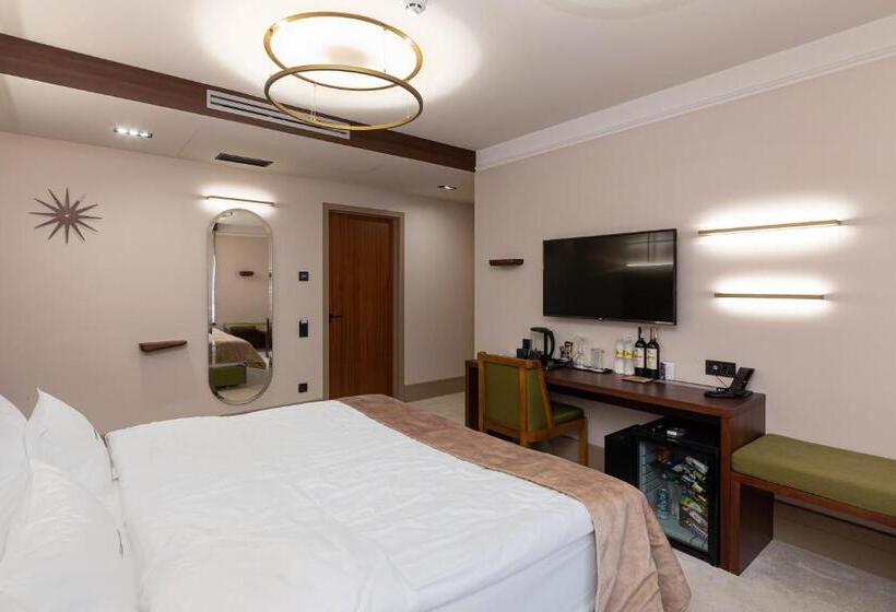 اتاق استاندارد, Ribas Karpaty