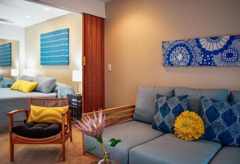 استودیو استاندارد با چشم‌انداز باغ, Napili Village